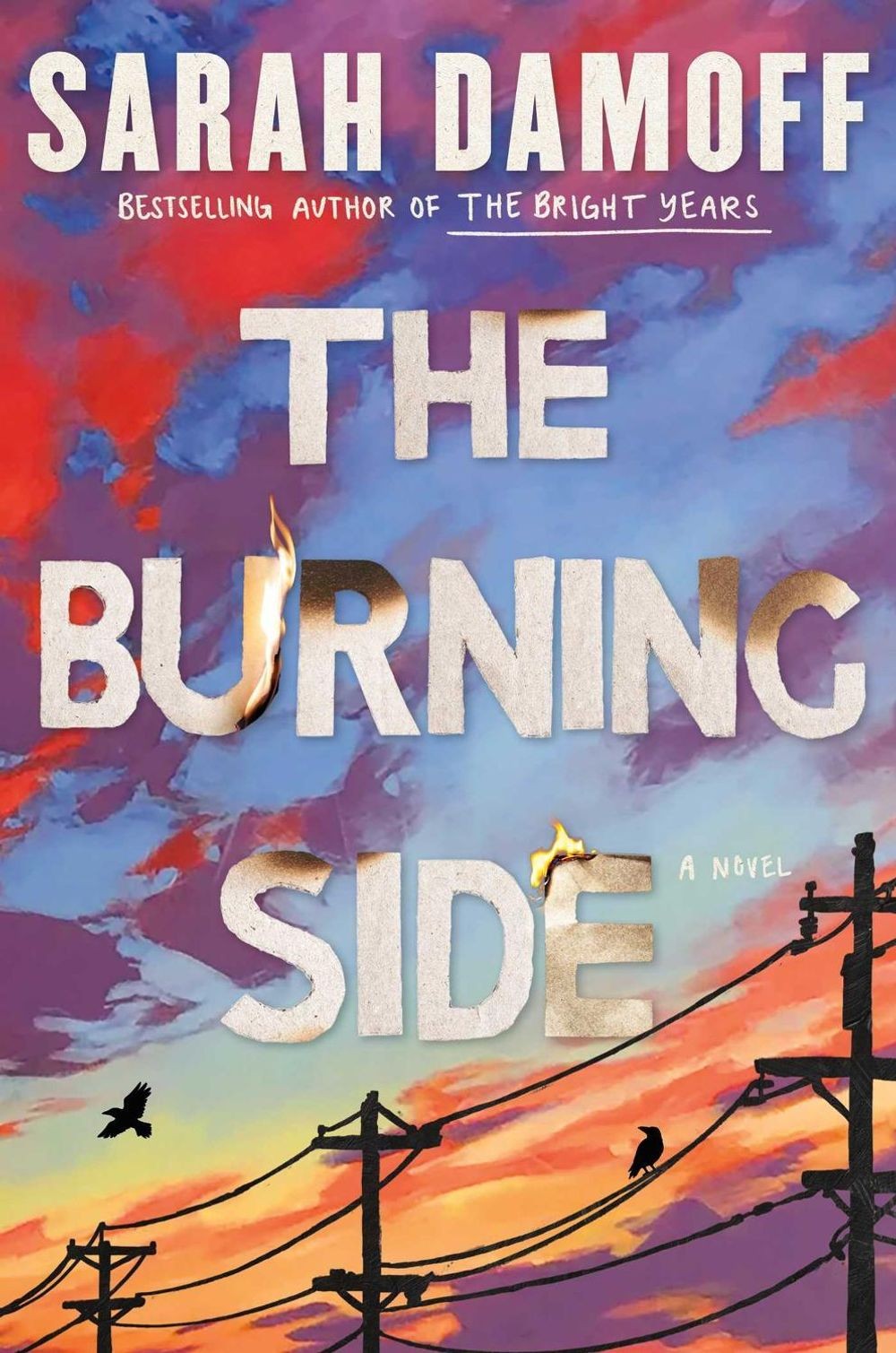 The Burning Side: A Novel by Sarah Damoff Hardcover Book