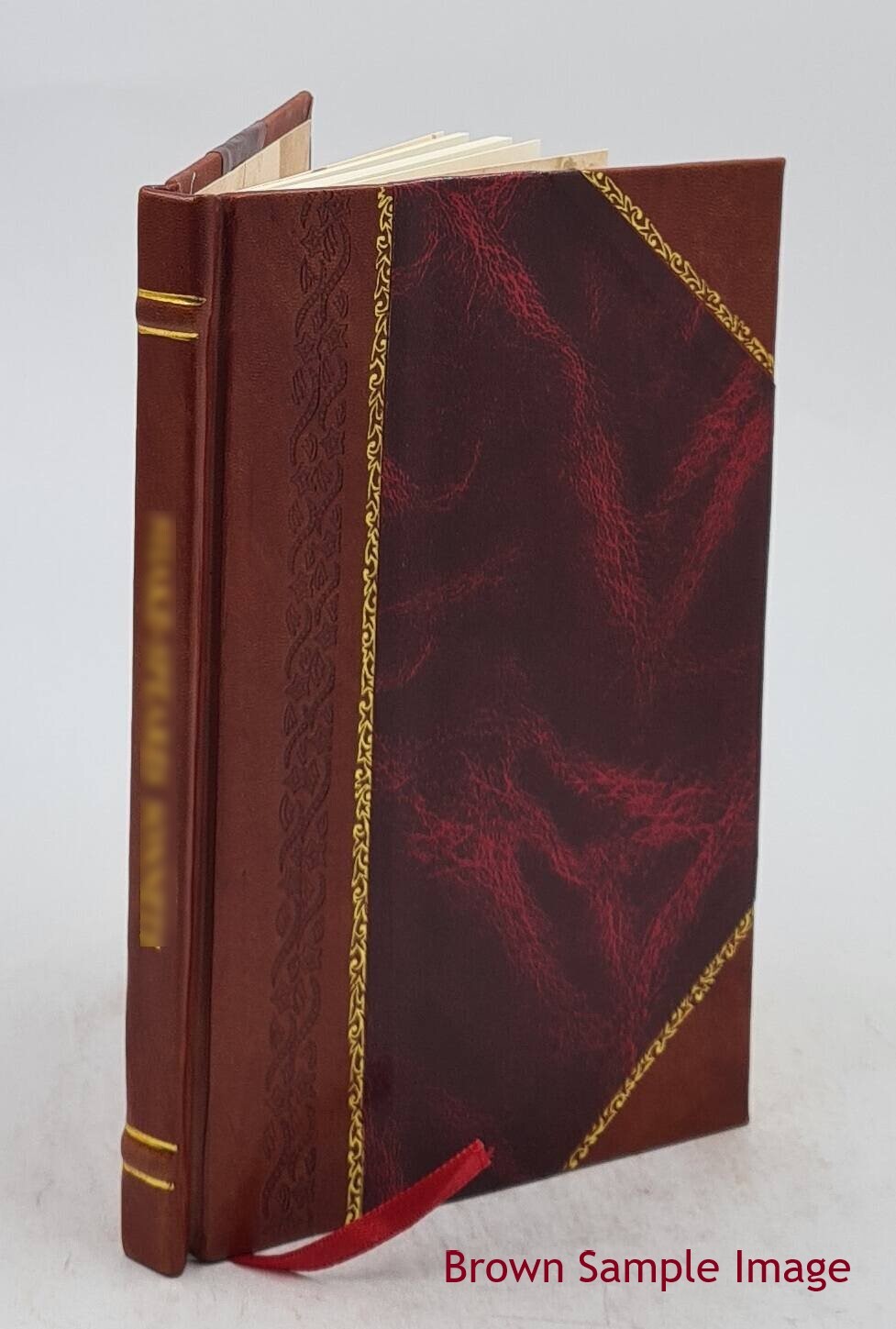On Consumption, & Tuberculosis Of The Lungs.. 1873 By E. H. Ruddock Leatherbound