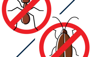 Dedetização em cuiaba mt