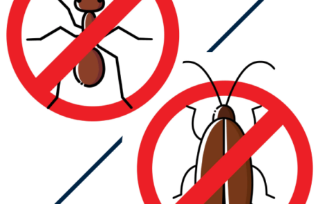 Dedetização em cuiaba mt